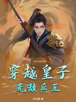 穿越皇子无敌兵王永康