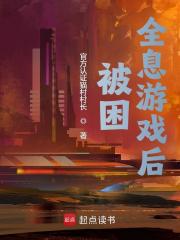 被困全息游戏后