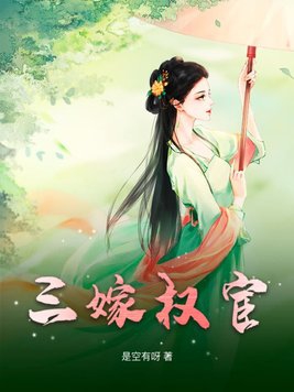 小说嫁权宦